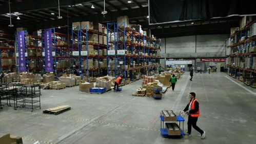 強信心 開新局 跨境電商 加速跑 直擊上海港進出口商品中轉倉